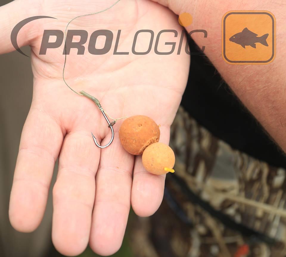 PROLOGIC - 401934519844348075136281308834n.jpg